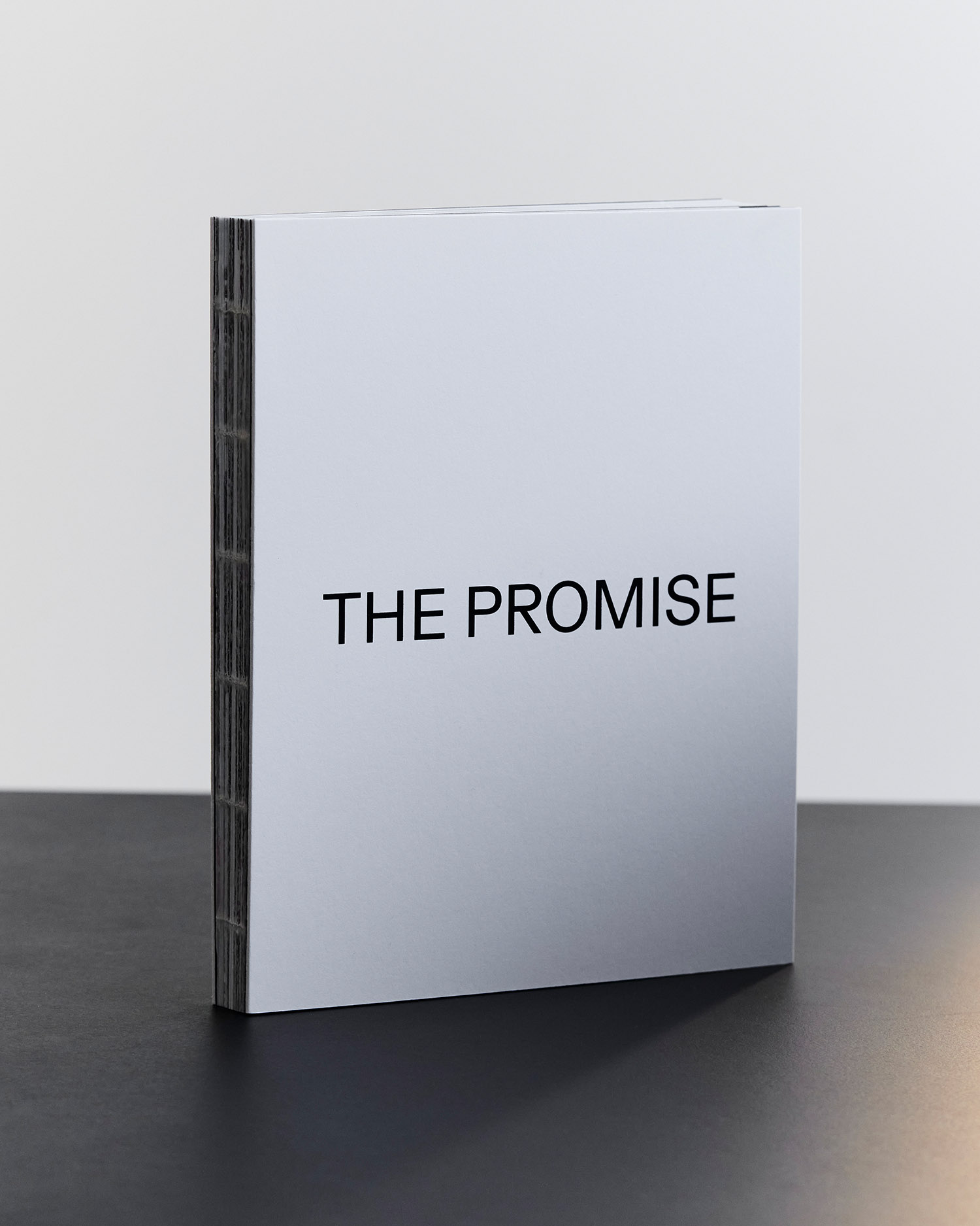 洋書 the promise of photography Talbot_Promise_of_Photography-